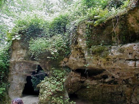 Ramoneur Prignac-et-Marcamps