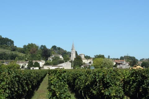 Ramoneur Saint-Michel-de-Fronsac