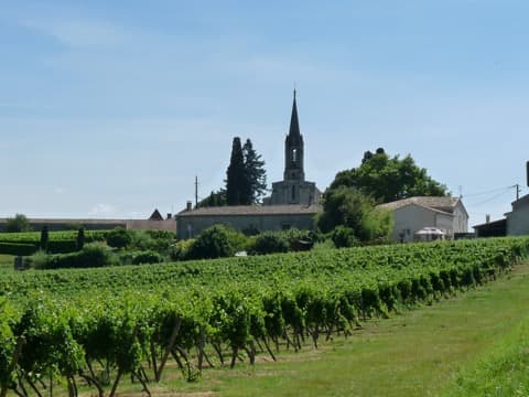 Ramoneur Saint-Quentin-de-Caplong