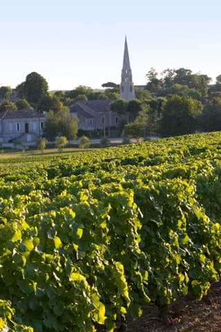 Ramoneur Sauternes